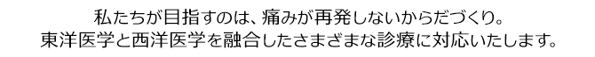 私たちが目指すのは、痛みが再発しないからだづくり。東洋医学と西洋医学を融合したさまざまな診療に対応いたします。